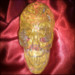 cranial creations skull 13