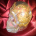 cranial creations skull 14