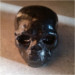 cranial creations skull 17