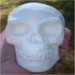 cranial creations skull 20