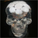 cranial creations skull seven